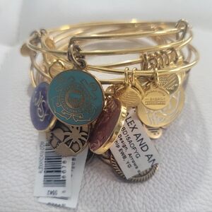 Alex and Ani Set of 9 CHARM Dangle Bracelet's